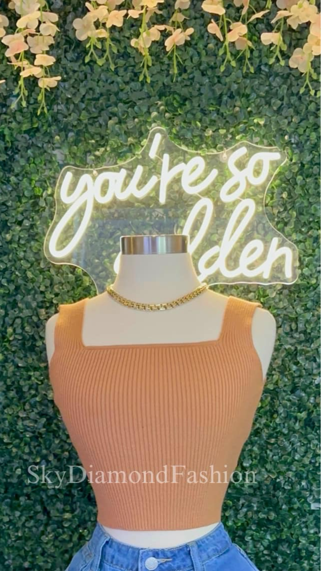 Light brown top