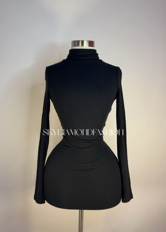 Black turtle neck dress