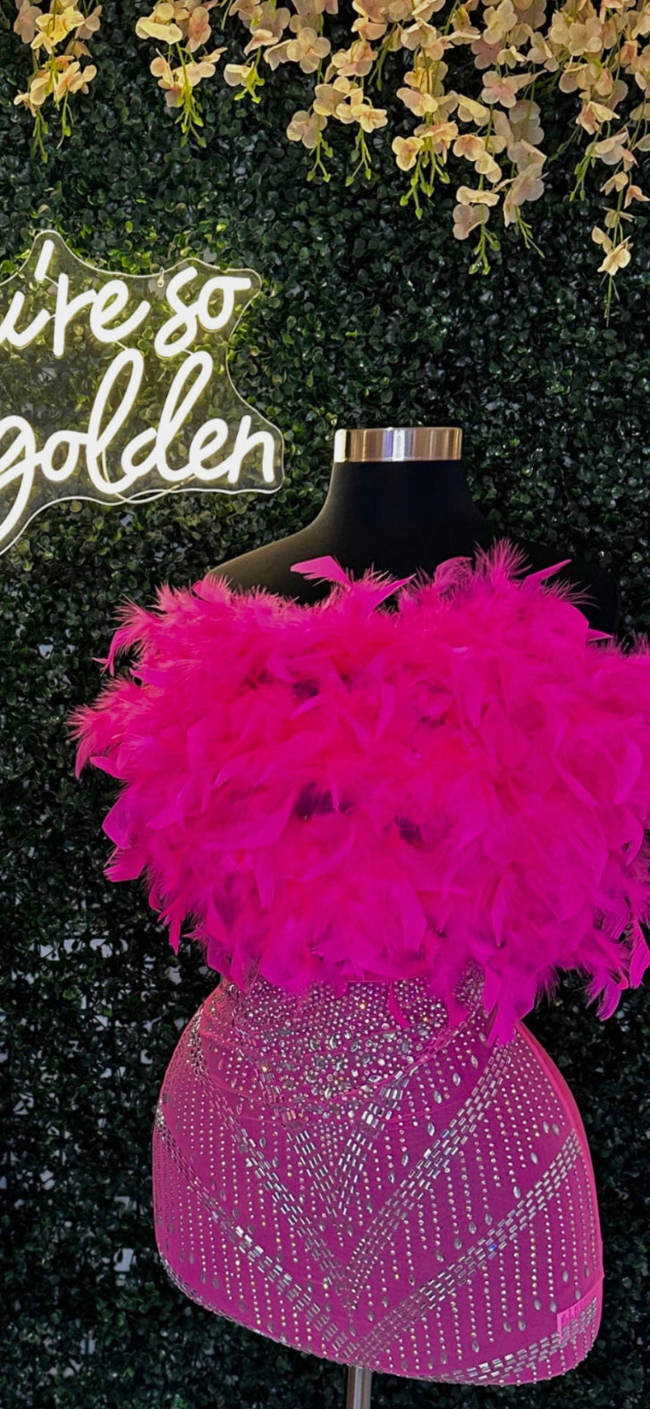 Hot pink feather dress
